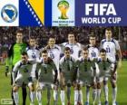 Выбор Боснии и Герцеговины, Группа F, Бразилия 2014